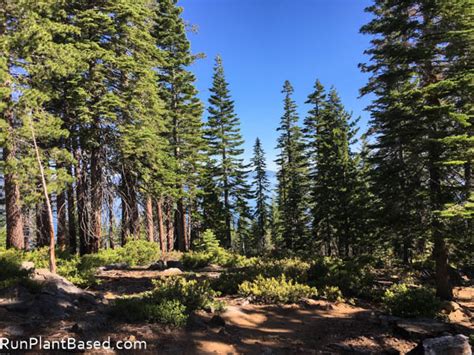 South Lake Tahoe Camping — Run Plant Based