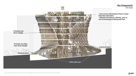 Understanding Structural Stability Systems Timber Concrete Hybrid Design