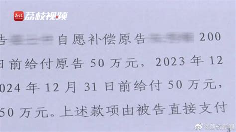 丈夫有外遇 全职妈妈离婚获200万家务补偿新浪新闻