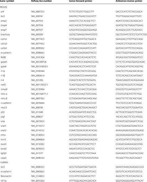 Mouse And Human Primer Sequences For Quantitative Rt Pcr Analysis