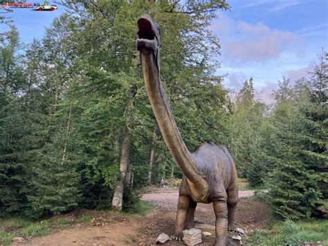 Dino Park Stâna de Vale Obiective turistice de văzut și vizitat