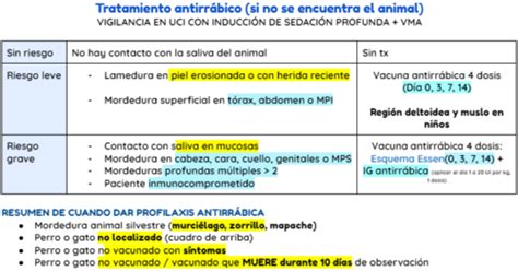 Tetanos Botulismo Difteria Y Rabia Flashcards Quizlet