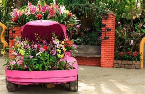 Festival de flores Expoflora 2022 atrações ingressos como chegar