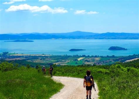 Nasce Terre Del Perugino Trasimeno Musei Portale E Biglietto