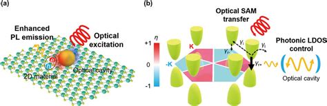 Nanophotonic Control Of Electron Behaviors In Gapped D Dirac