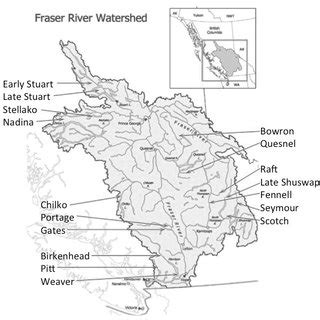 A map of the Fraser River watershed that locates CUs for Fraser River ...