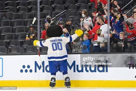 Tampa Bay Lightning Mascot Photos and Premium High Res Pictures - Getty Images