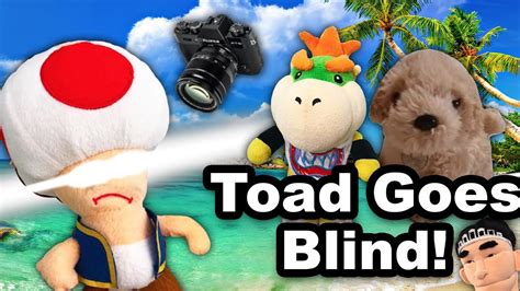 Sml Parody Toad Goes Blind Youtube