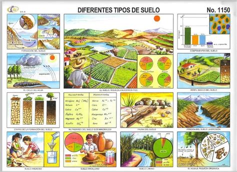 Diferentes Tipos De Suelo Monografias Tipos De Suelo Disenos De Unas