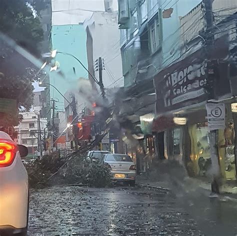 Queda de árvores telhados destruídos e ruas alagadas temporal provoca