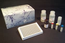 Human TNF Alpha Quant ELISA Kit Sandwich LSBio