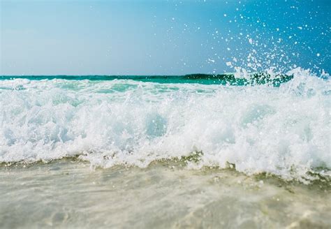 Qué significa soñar con el mar Somnia Mundi La Web de las