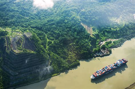 Peces Invasores El Efecto Colateral De La Expansión De Los Canales De