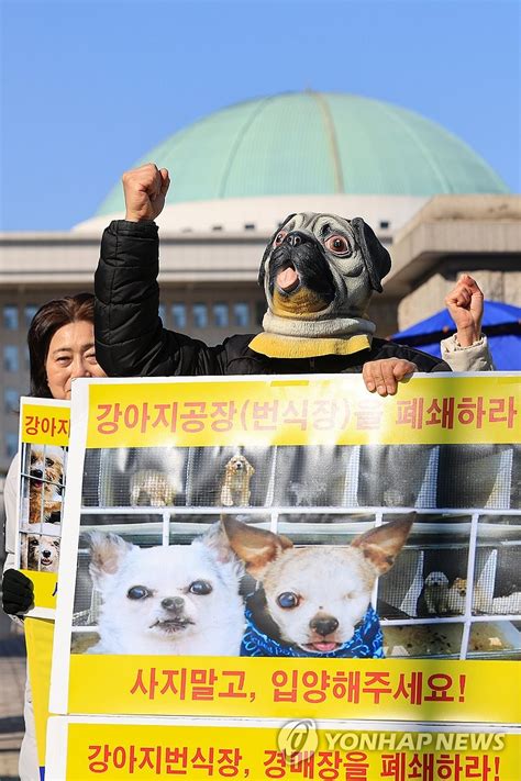 강아지 공장 폐지 촉구 기자회견 연합뉴스