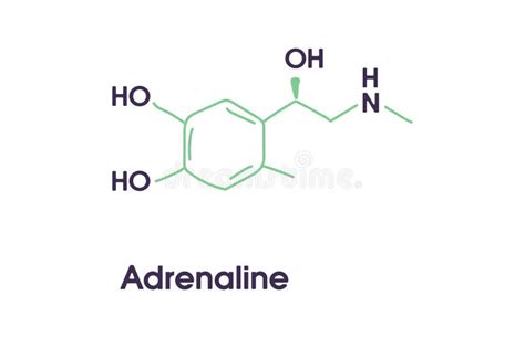 Adrenaline Or Adrenalin Epinephrine Structure Stock Illustration