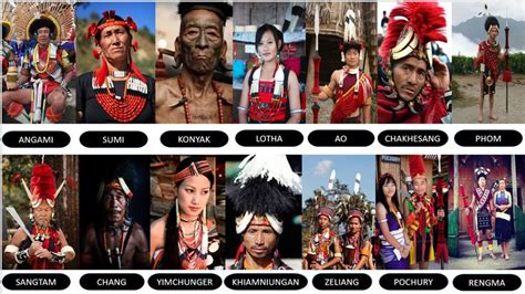 Nagaland Tribes India Poster Nagaland Tribe