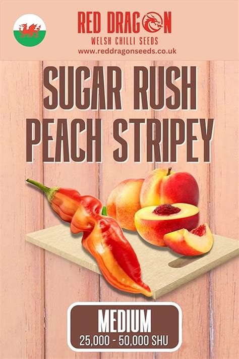 Sugar Rush Peach Stripey Chilli Seeds Sugar Rush Peach Pepper Seeds