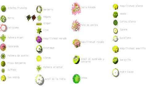 Common tree blocks and symbols dwg file