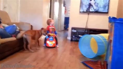 Puppies And Babies Playing Together Compilation Vid O Dailymotion