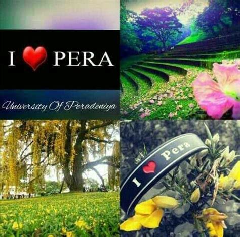 Peradeniya University Love Lane