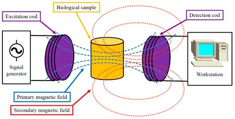 Sensors Free Full Text Magnetic Induction Spectroscopy For Biomass Measurement A