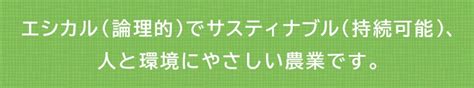 1240 野菜 オーガニック野菜セット 有機jas認証 旬の有機野菜 毎月1回 計12回お届け 定期便 しあわせ野菜畑 静岡県掛川市