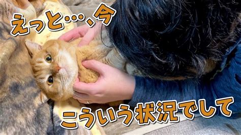 呼んでも来ない猫を見に行ったらなぜかパパとこうなってました！笑 Youtube