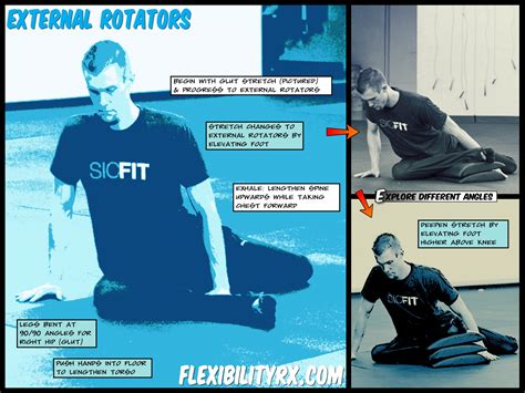 Piriformis Stretch | FlexibilityRx - Performance Based Flexibility Training