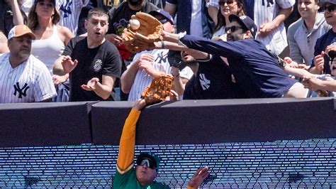 Yankees Fan Snatches Fly Ball From Athletics Outfielder Umpires Rule