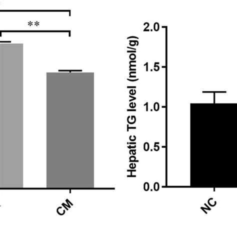 Effects Of Cm On The Serum Levels Of Lps A And Hepatic Of Tg Level