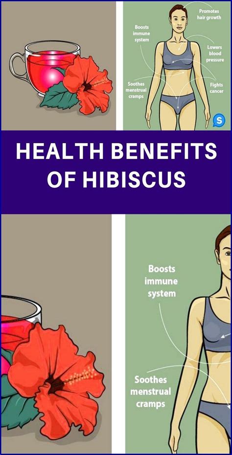 Health Benefits Of Hibiscus Artofit