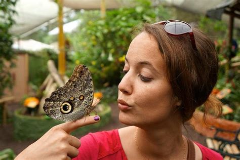 Private Full Day Mindo Cloud Forest Butterfly Farm Chocolate Tour Bird