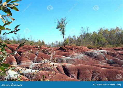 Cheltenham Badlands Trail, Canada Stock Photo - Image of rock ...