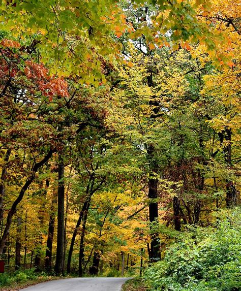 Autumn Is Around The Bend Photograph By Rosanne Jordan