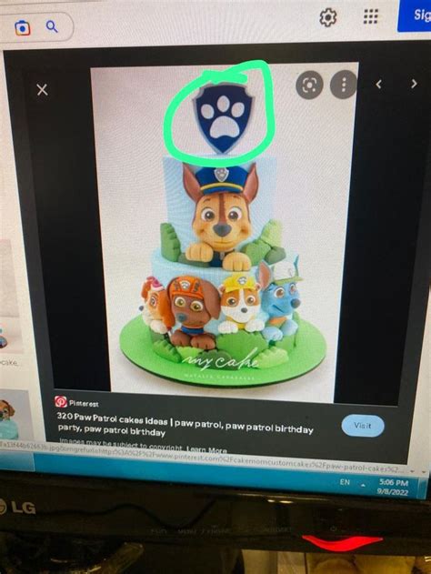 Pin By Amani Haddad On Masha And The Bear Paw Patrol Birthday Party