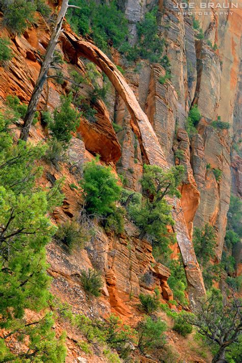 Bridge Mountain Arch Hike Photos Page 3 Joes Guide To Zion