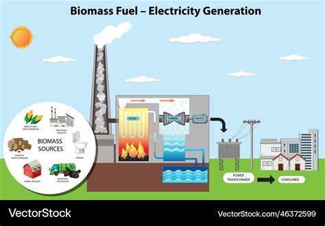 Biomass fuel electricity generation diagram Vector Image