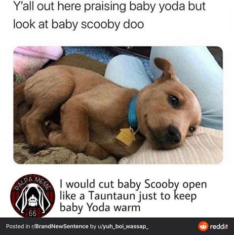 cursed_baby_yoda (x-post) : r/cursed_postings