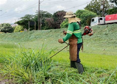 Nova Terceirizada Intensifica Limpeza De Lotes Baldios Em Apucarana