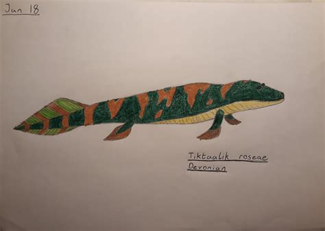 Day 18: Tiktaalik. Okay I forgot to post this guy and I now have 6