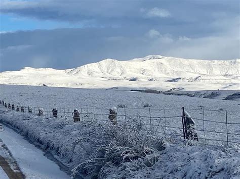 Pics Snow Turns Parts Of Eastern Cape Into Winter Wonderland News