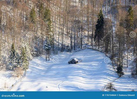 Winter in the Carpathian Mountains , Snow on the Mountains and Frost ...