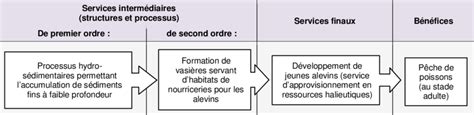 Exemple De Services écosystémiques Découpés Sur Base Dune Version