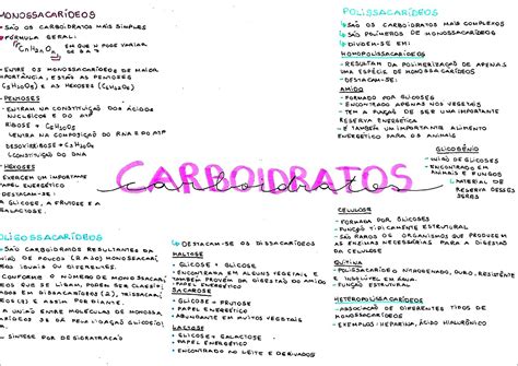 Mapas Mentais Sobre CARBOIDRATOS Study Maps