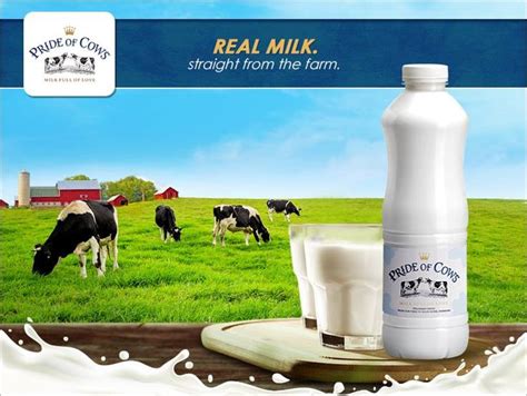 9 best Organic & Pure Cow Milk in Mumbai images on Pinterest | Bombay ...