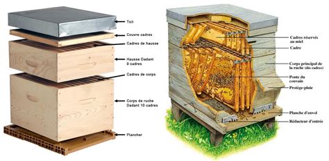 Habitat Des Abeilles Ruches