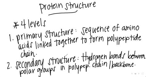 SOLVED Question 6 0 5 Pts Match Each Level Of Protein Structure With