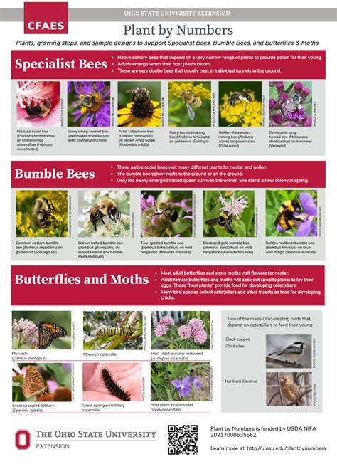 Plant By Numbers Native Plants Growing Steps And Sample Designs To