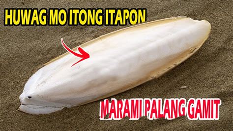 ITINATAPON MO LAMANG ITO NAPAKARAMI PALANG GAMIT AT PAKINABANG