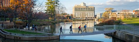 Campus Policy Library : UMass Amherst